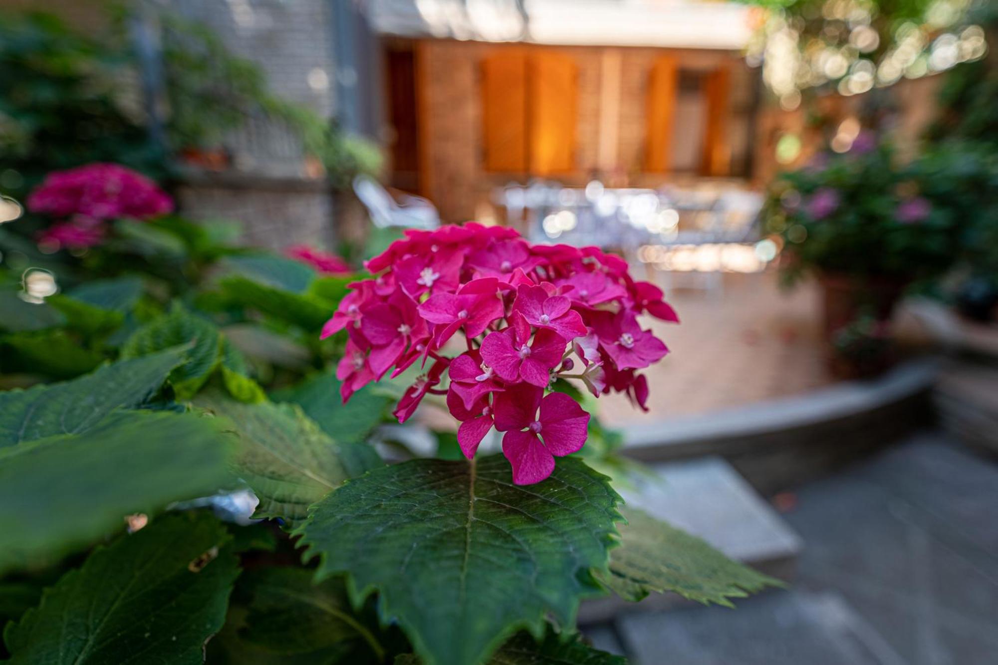 La Gatta Blu Bed & Breakfast