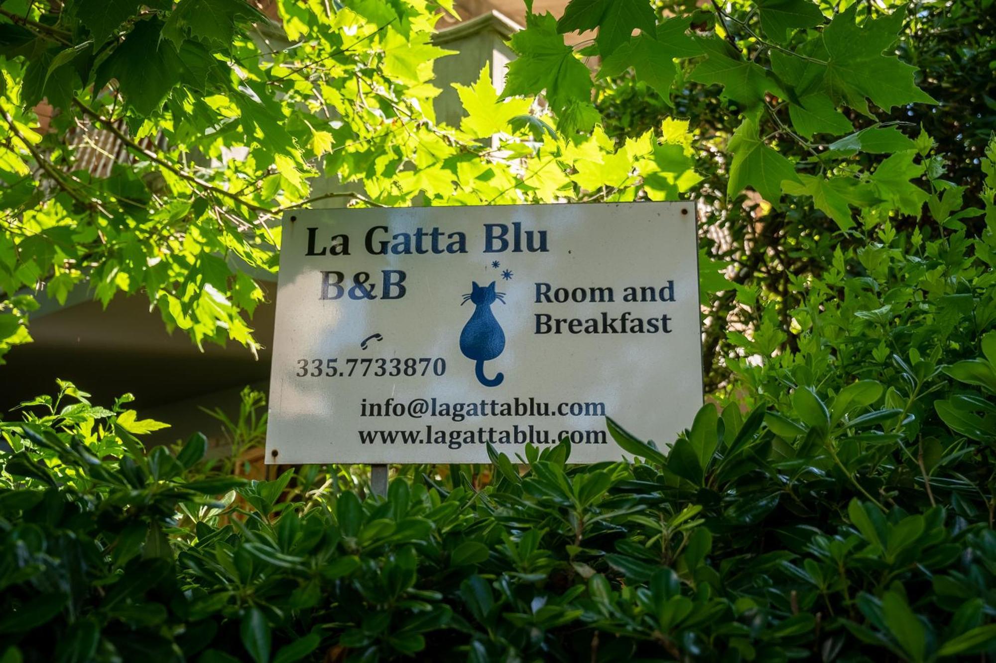 Bed & Breakfast La Gatta Blu Cattolica
