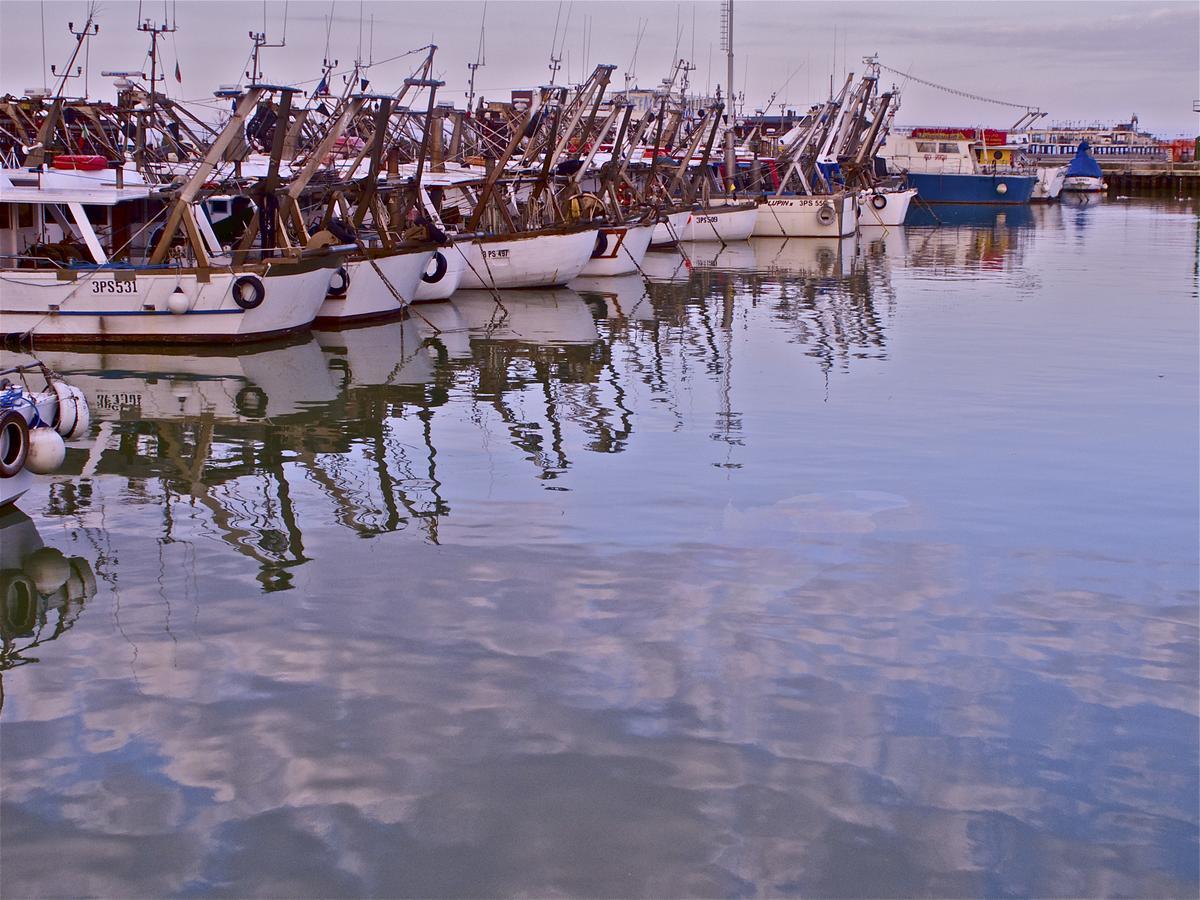 La Gatta Blu *
